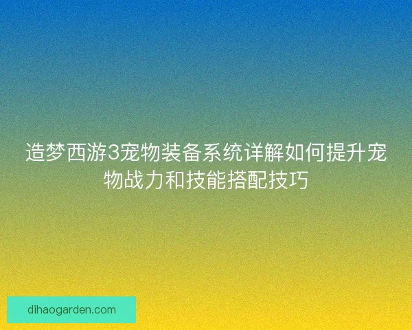 造梦西游3宠物装备系统详解如何提升宠物战力和技能搭配技巧