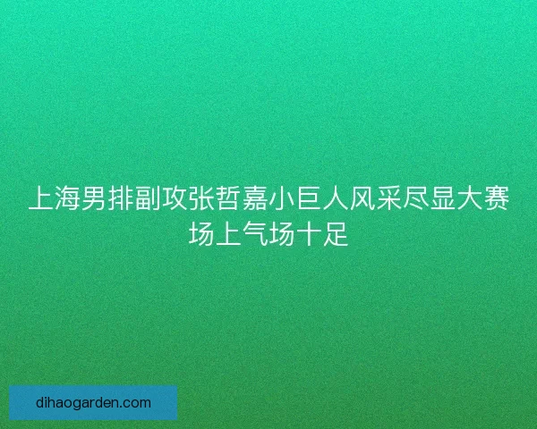 上海男排副攻张哲嘉小巨人风采尽显大赛场上气场十足