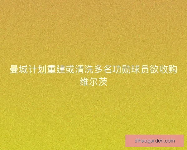 曼城计划重建或清洗多名功勋球员欲收购维尔茨