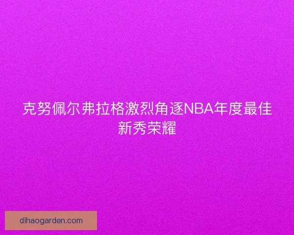 克努佩尔弗拉格激烈角逐NBA年度最佳新秀荣耀