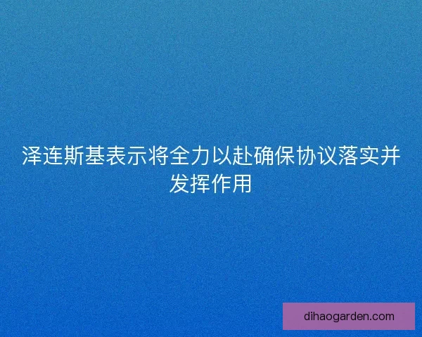 泽连斯基表示将全力以赴确保协议落实并发挥作用