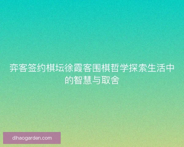 弈客签约棋坛徐霞客围棋哲学探索生活中的智慧与取舍
