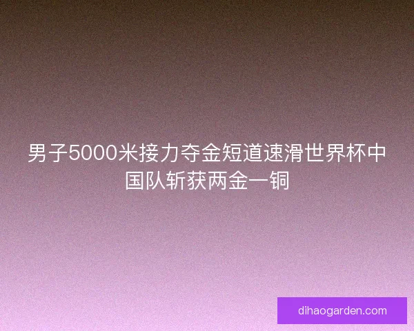男子5000米接力夺金短道速滑世界杯中国队斩获两金一铜