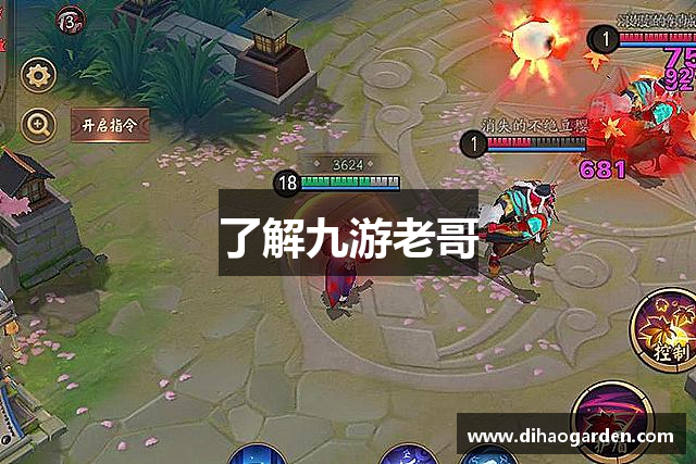 了解九游老哥